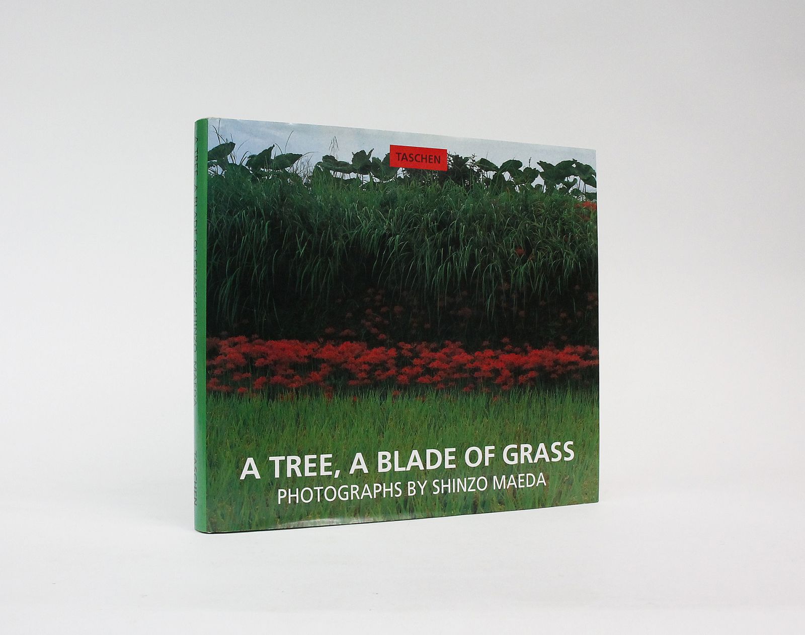 A TREE, A BLADE OF GRASS -  image 1