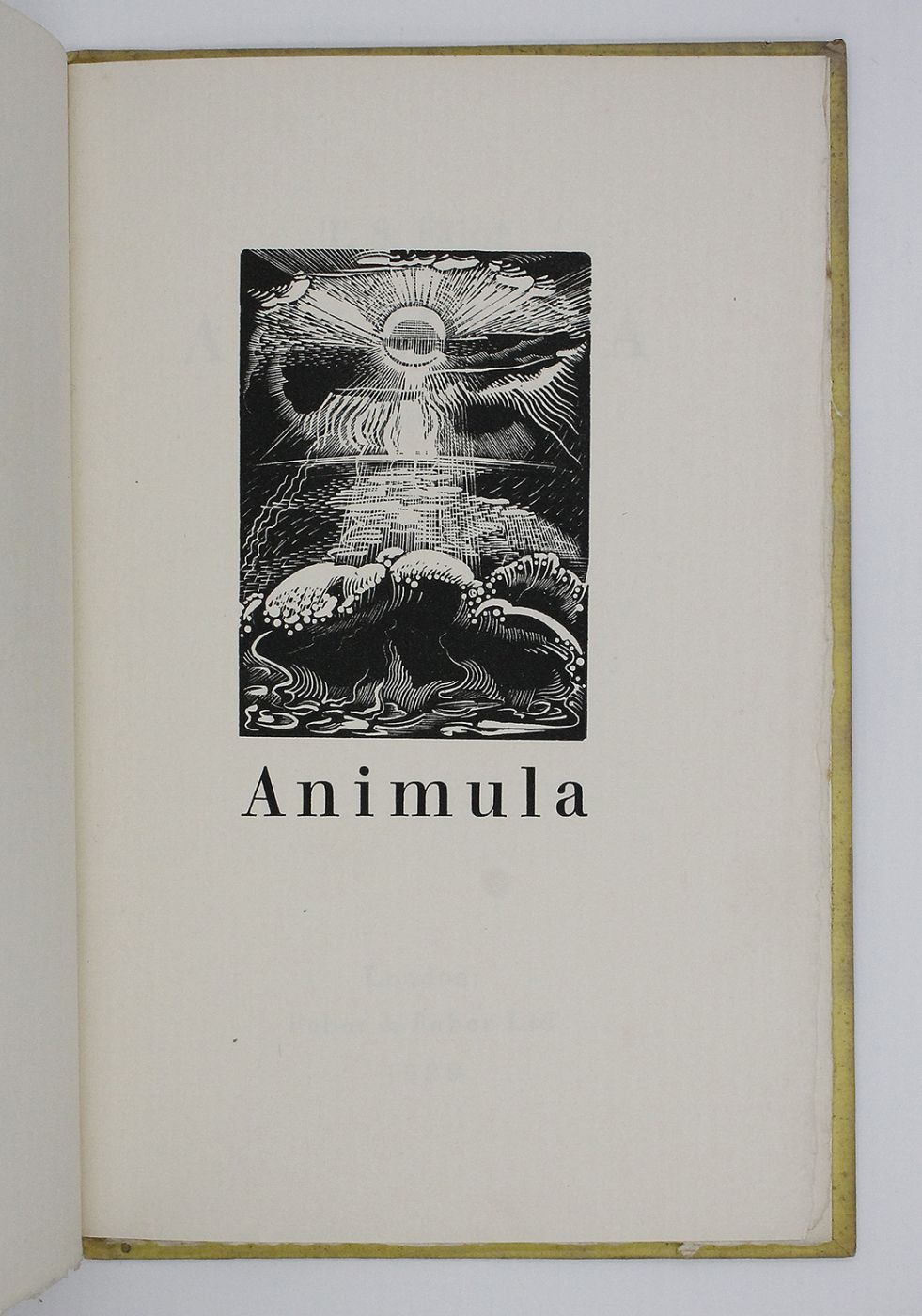 ANIMULA -  image 4
