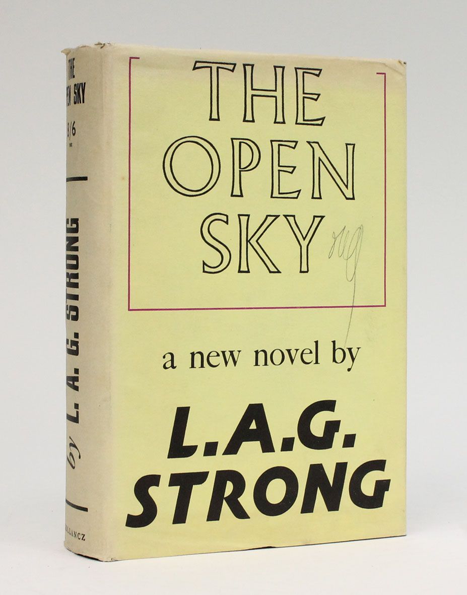 THE OPEN SKY -  image 1