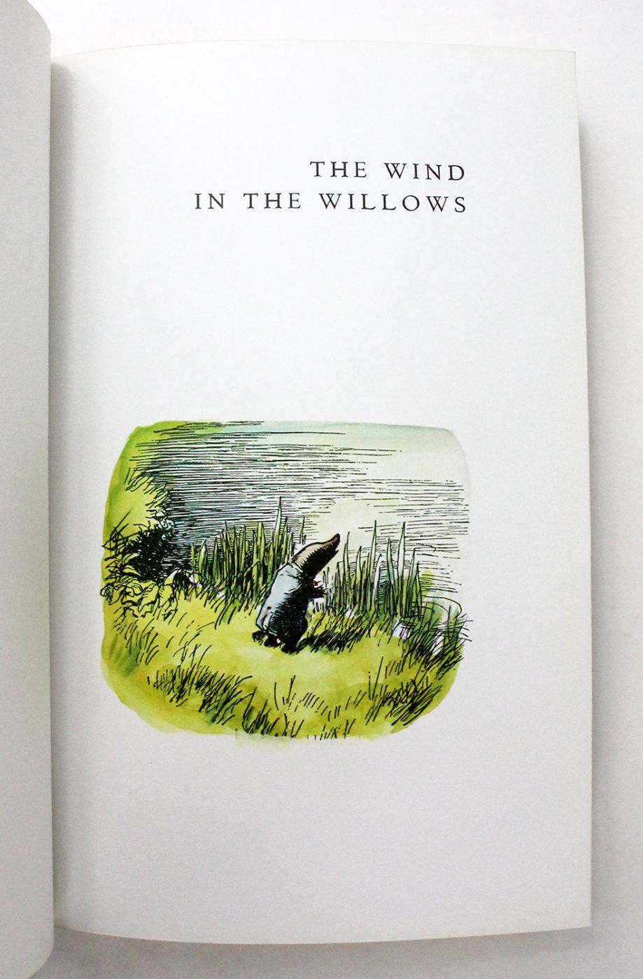 THE WIND IN THE WILLOWS -  image 7