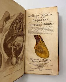 A DOMESTIC TREATISE ON THE DISEASES OF HORSES AND DOGS,
