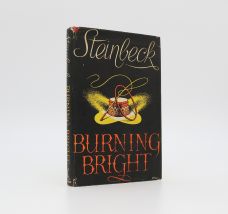 BURNING BRIGHT