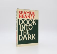 DOOR INTO THE DARK