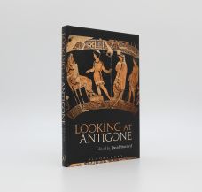 LOOKING AT ANTIGONE