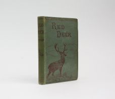 RED DEER