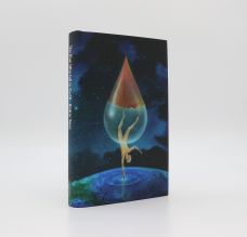 THE MAN WHO FELL TO EARTH