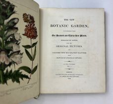 THE NEW BOTANIC GARDEN,
