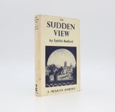 THE SUDDEN VIEW.