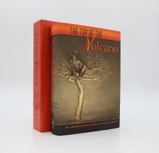 THE TOP OF THE VOLCANO: