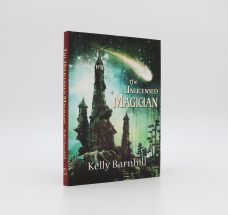 THE UNLICENSED MAGICIAN