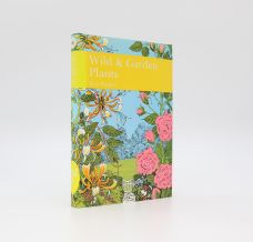 WILD AND GARDEN PLANTS