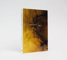 WOLFGANG TILLMANS: 2017