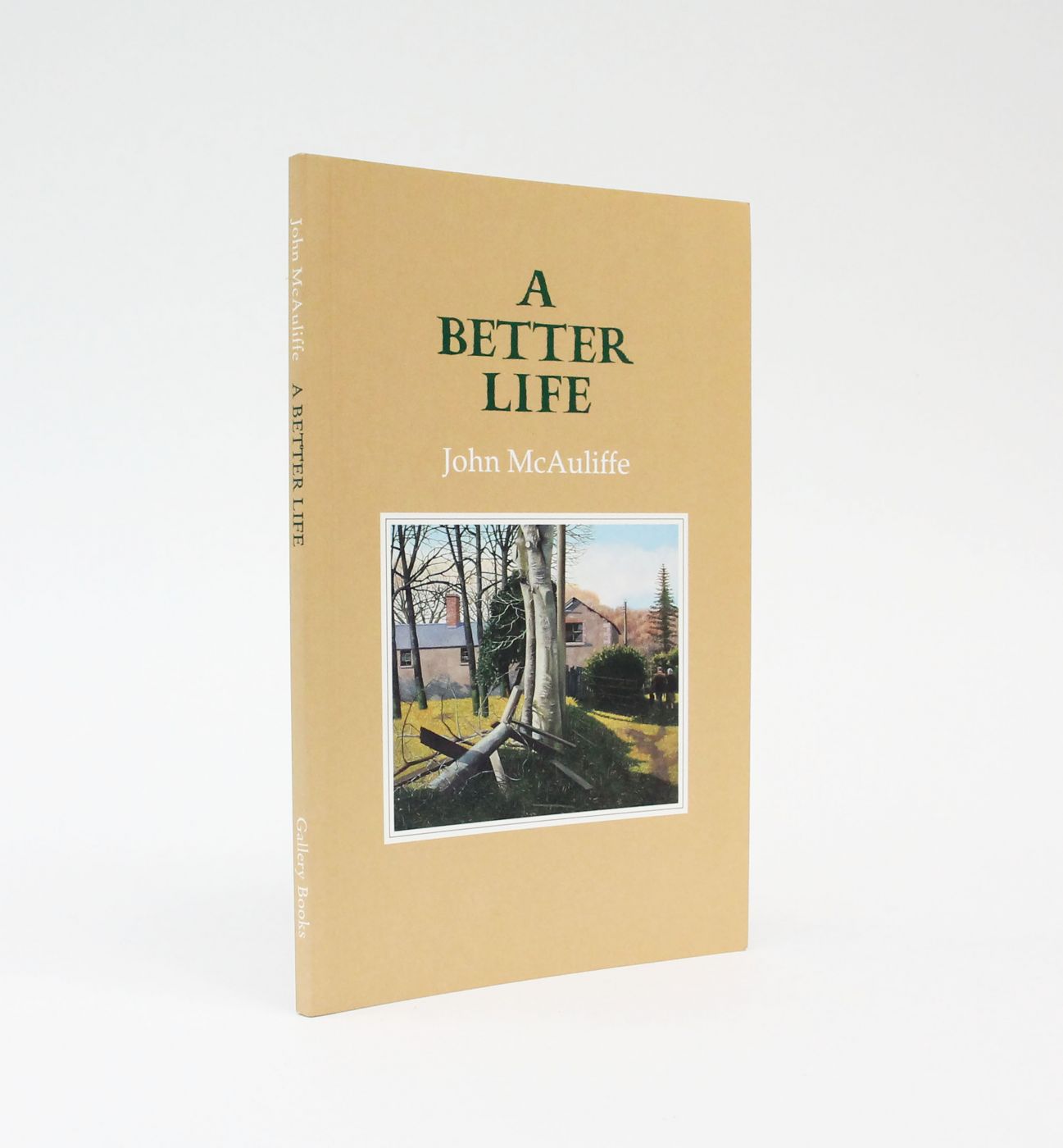 A BETTER LIFE -  image 1
