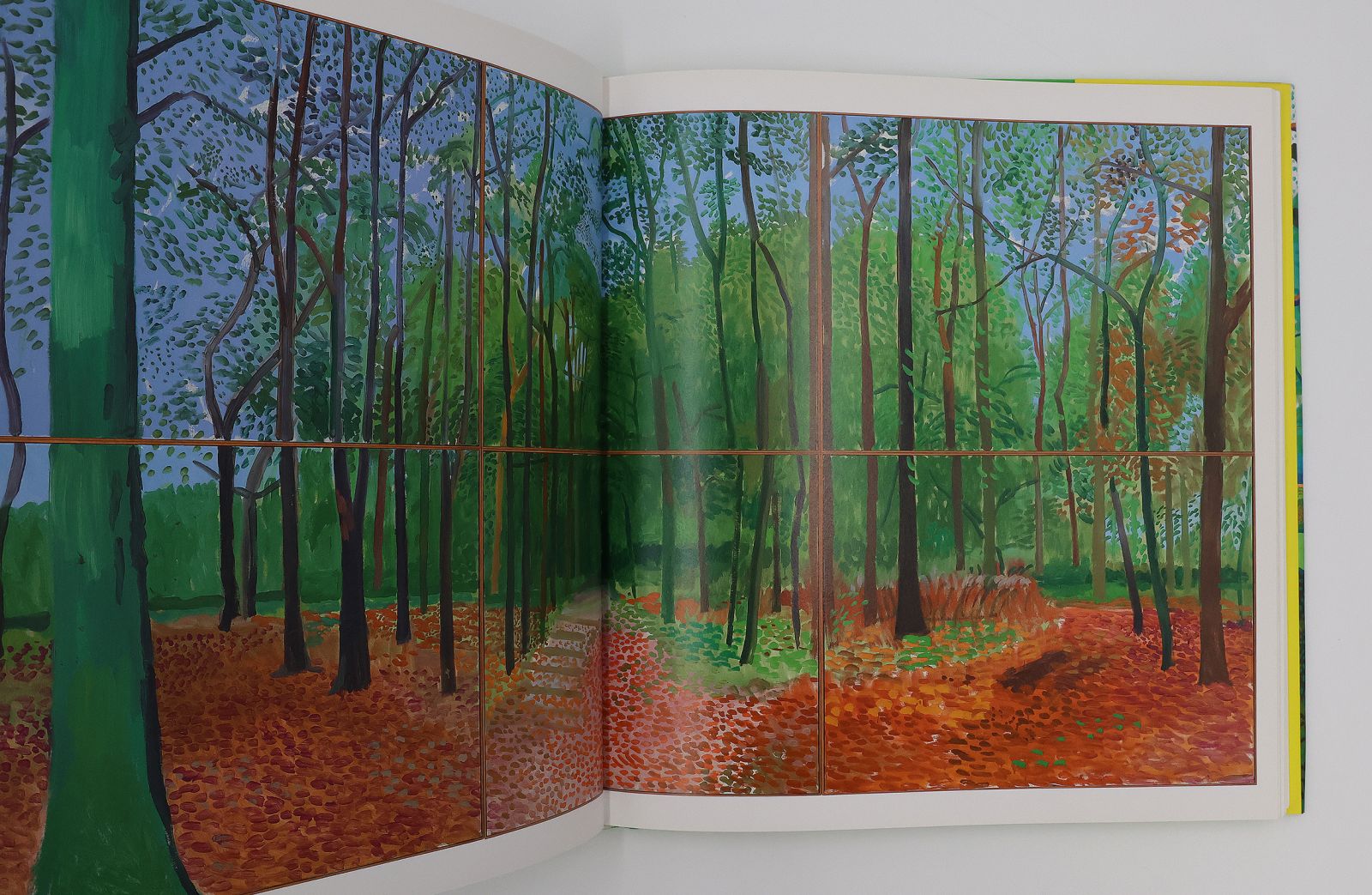 A BIGGER PICTURE -  image 3