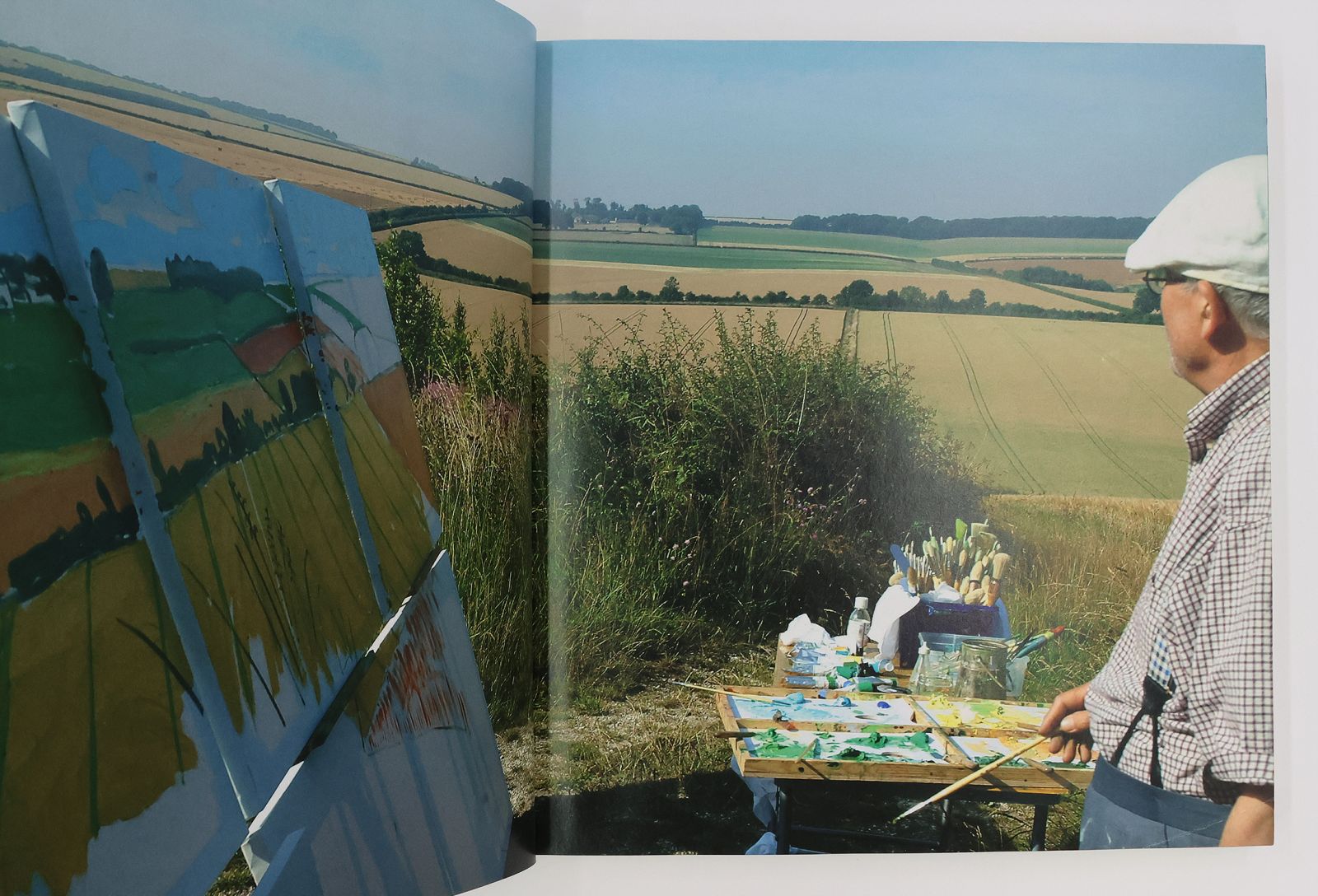 A BIGGER PICTURE -  image 3