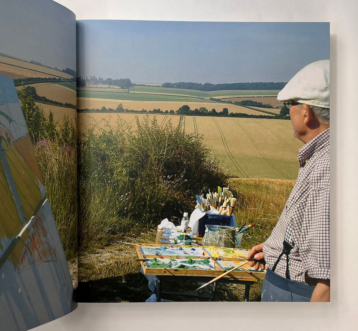 A BIGGER PICTURE -  image 4
