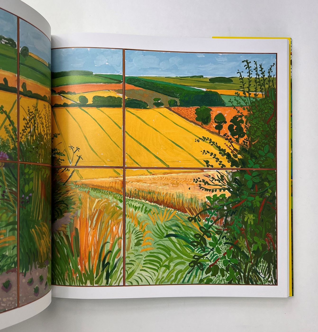 A BIGGER PICTURE -  image 6