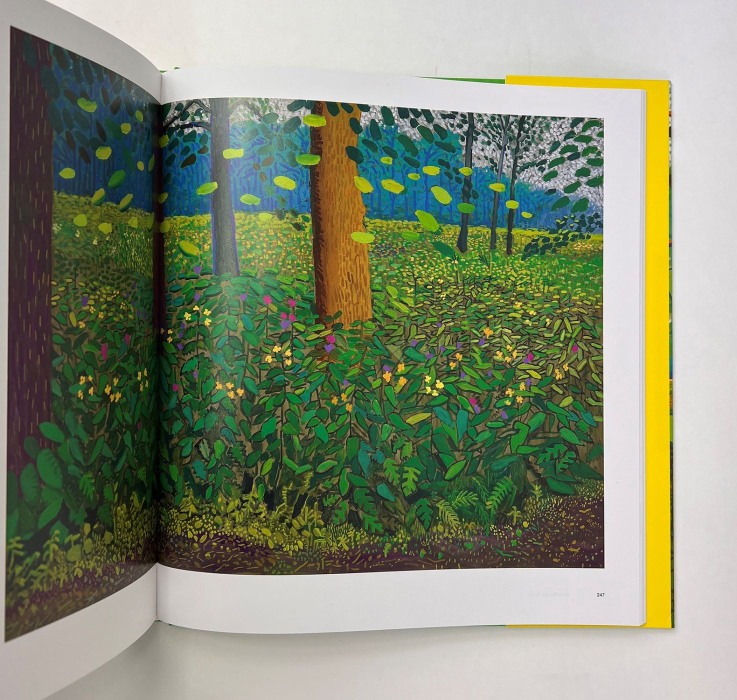 A BIGGER PICTURE -  image 7