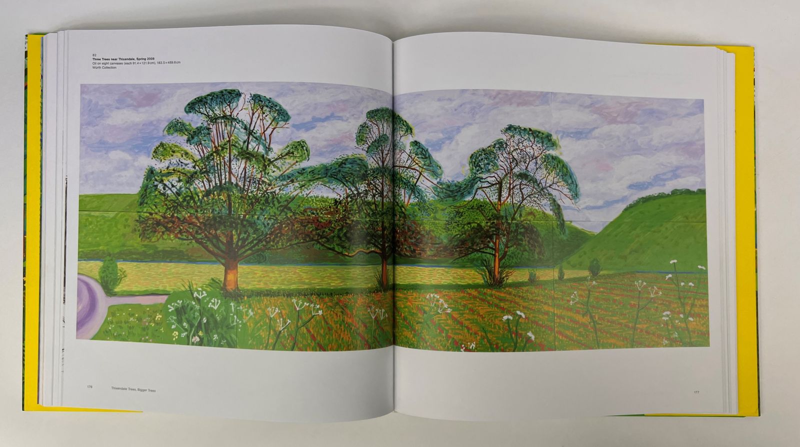 A BIGGER PICTURE -  image 8
