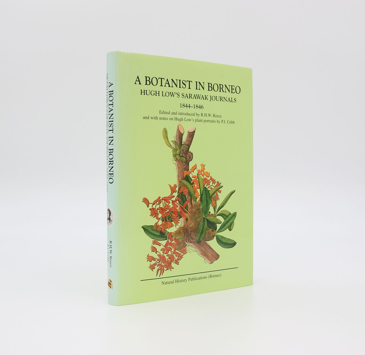 A BOTANIST IN BORNEO: -  image 1