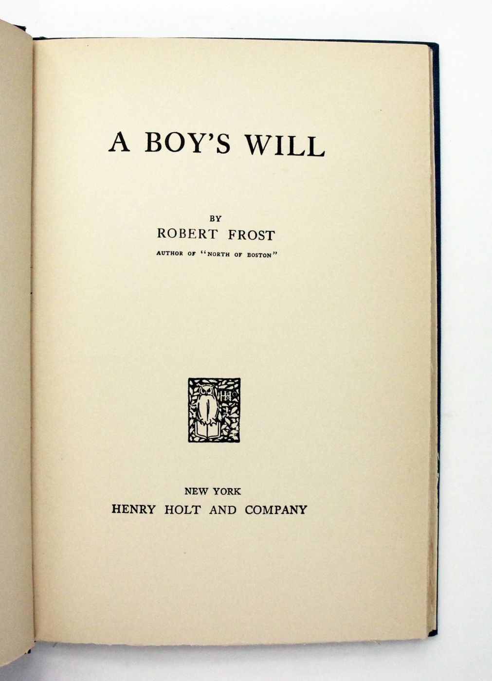 A BOY'S WILL -  image 4