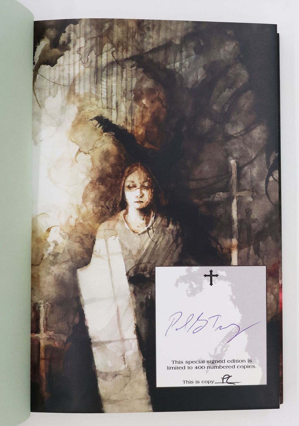 A HEAD FULL OF GHOSTS -  image 2