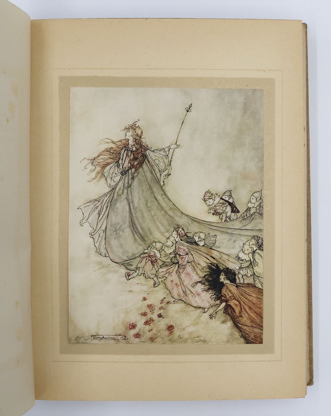 A MIDSUMMER-NIGHT'S DREAM -  image 7