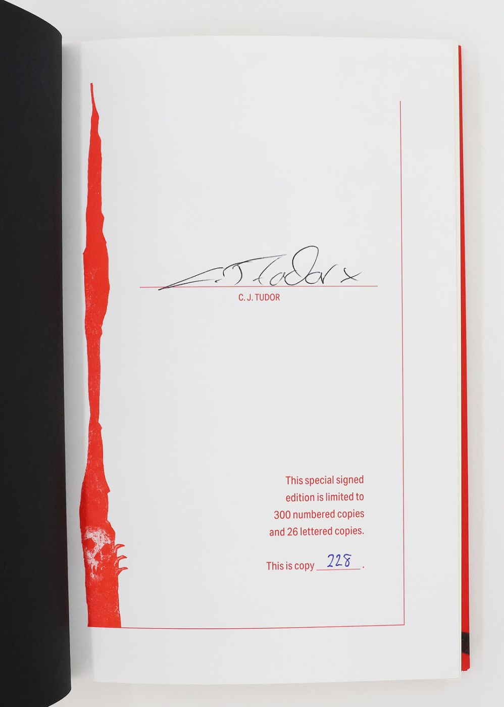 A SLIVER OF DARKNESS -  image 2