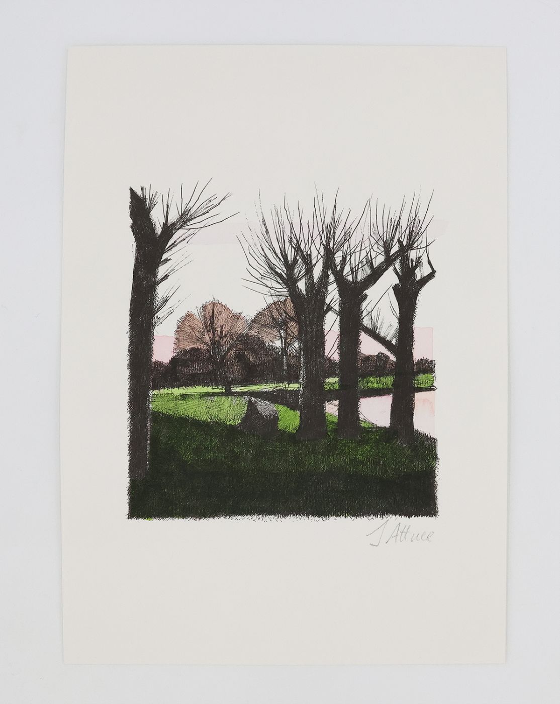 A SMALL BOX OF RIVER. -  image 6