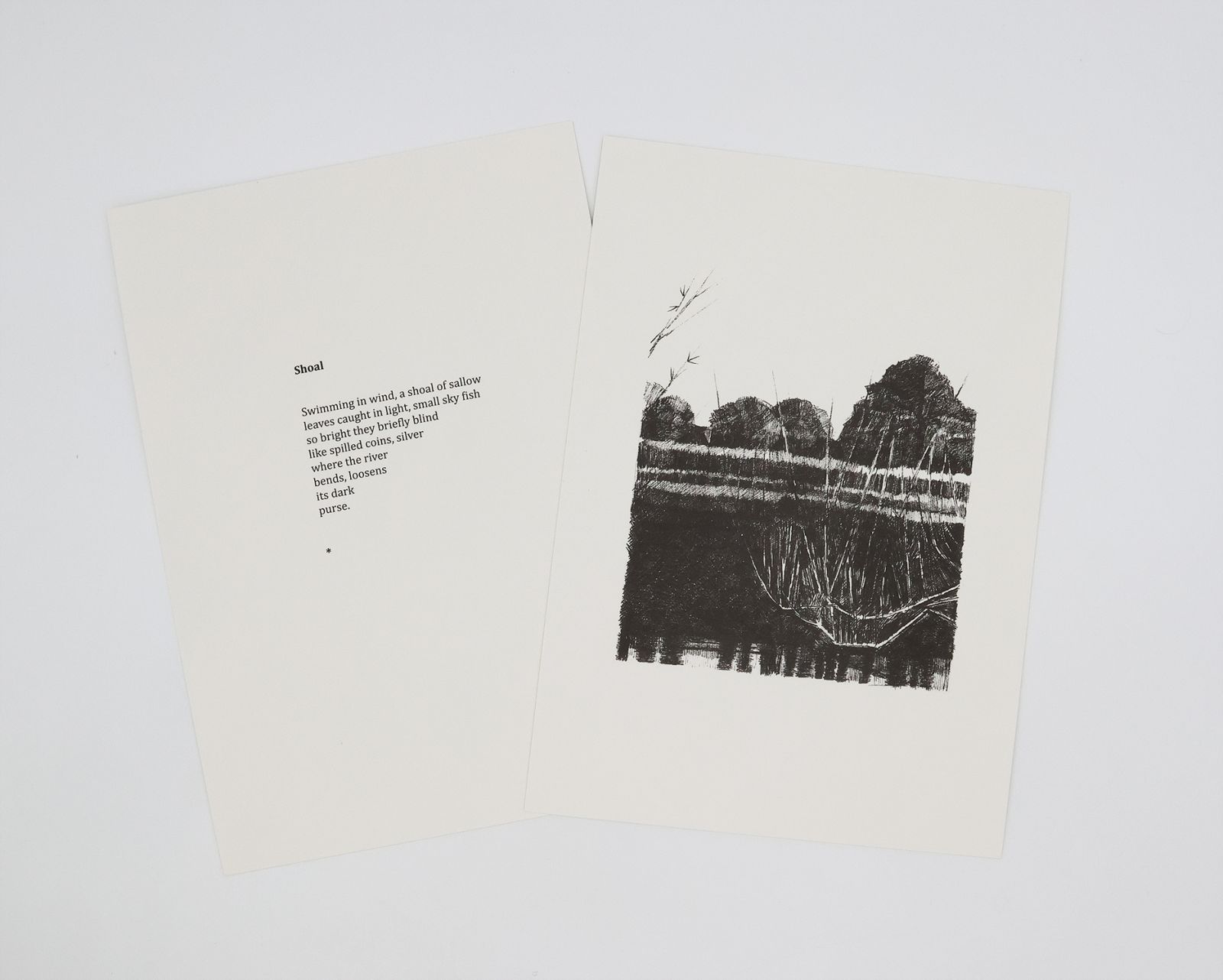 A SMALL BOX OF RIVER. -  image 7