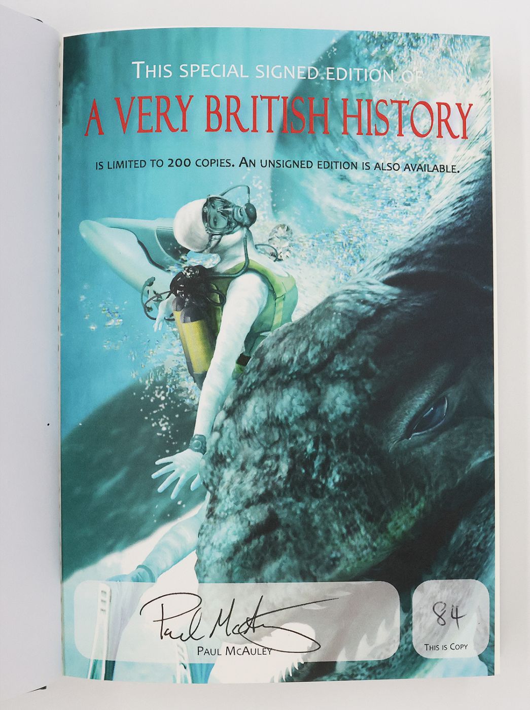 A VERY BRITISH HISTORY. -  image 4