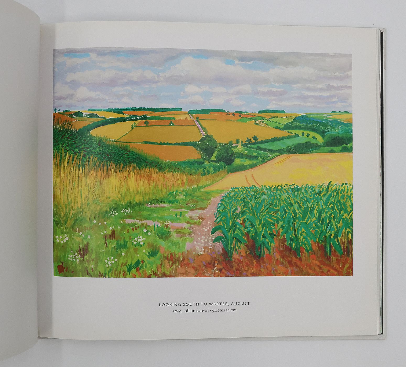 A YEAR IN YORKSHIRE: -  image 4