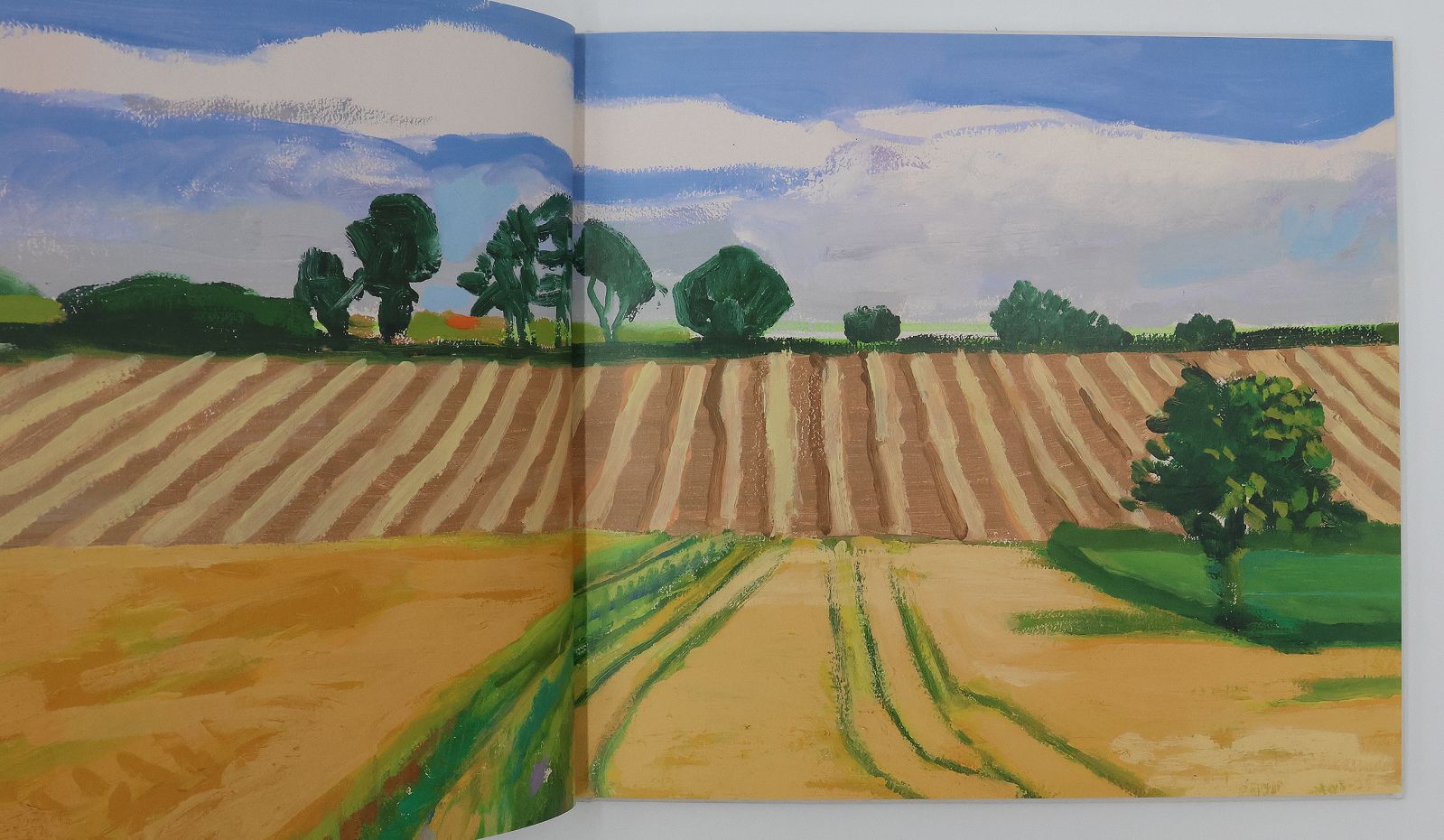 A YEAR IN YORKSHIRE: -  image 4