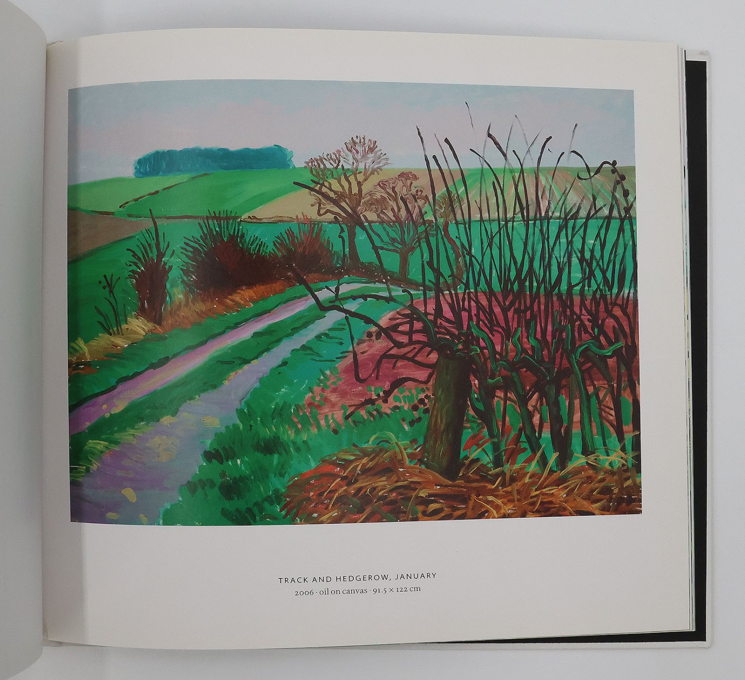 A YEAR IN YORKSHIRE: -  image 5