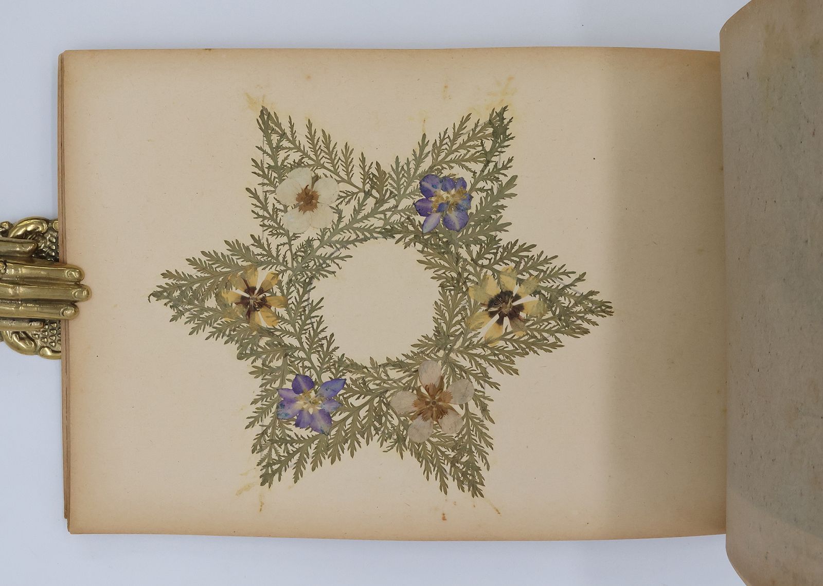 ALBUM SOUVENIR DE LA PALESTINE -  image 3