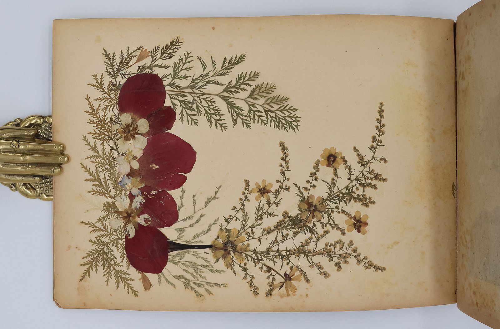 ALBUM SOUVENIR DE LA PALESTINE -  image 4