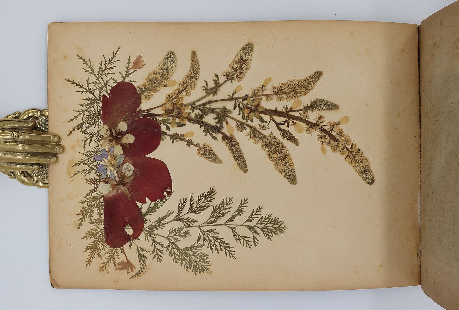 ALBUM SOUVENIR DE LA PALESTINE -  image 6