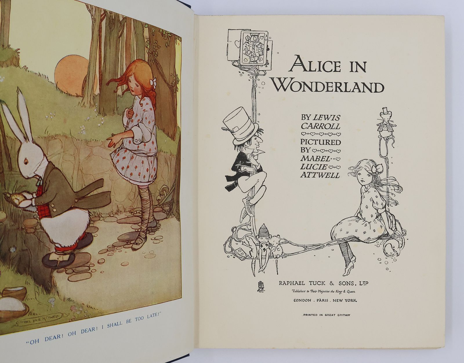 ALICE IN WONDERLAND -  image 4