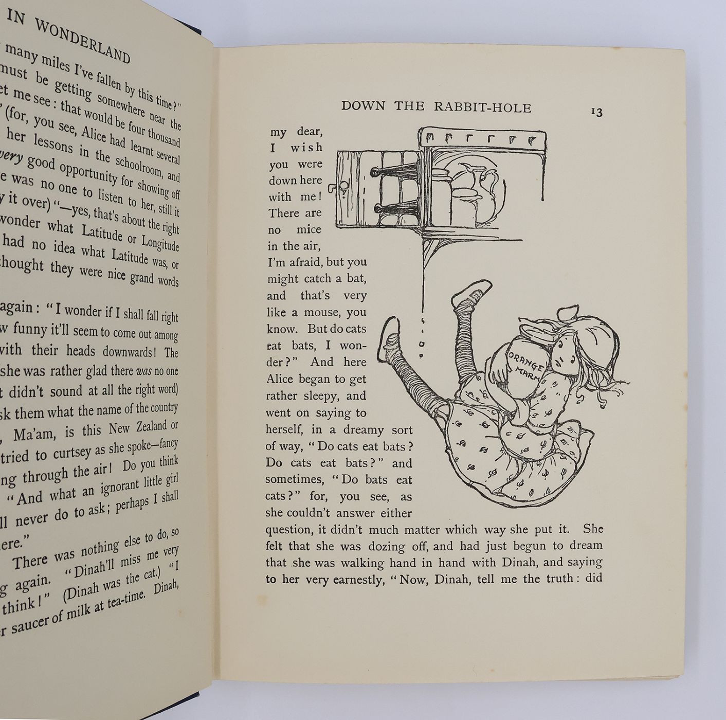 ALICE IN WONDERLAND -  image 5