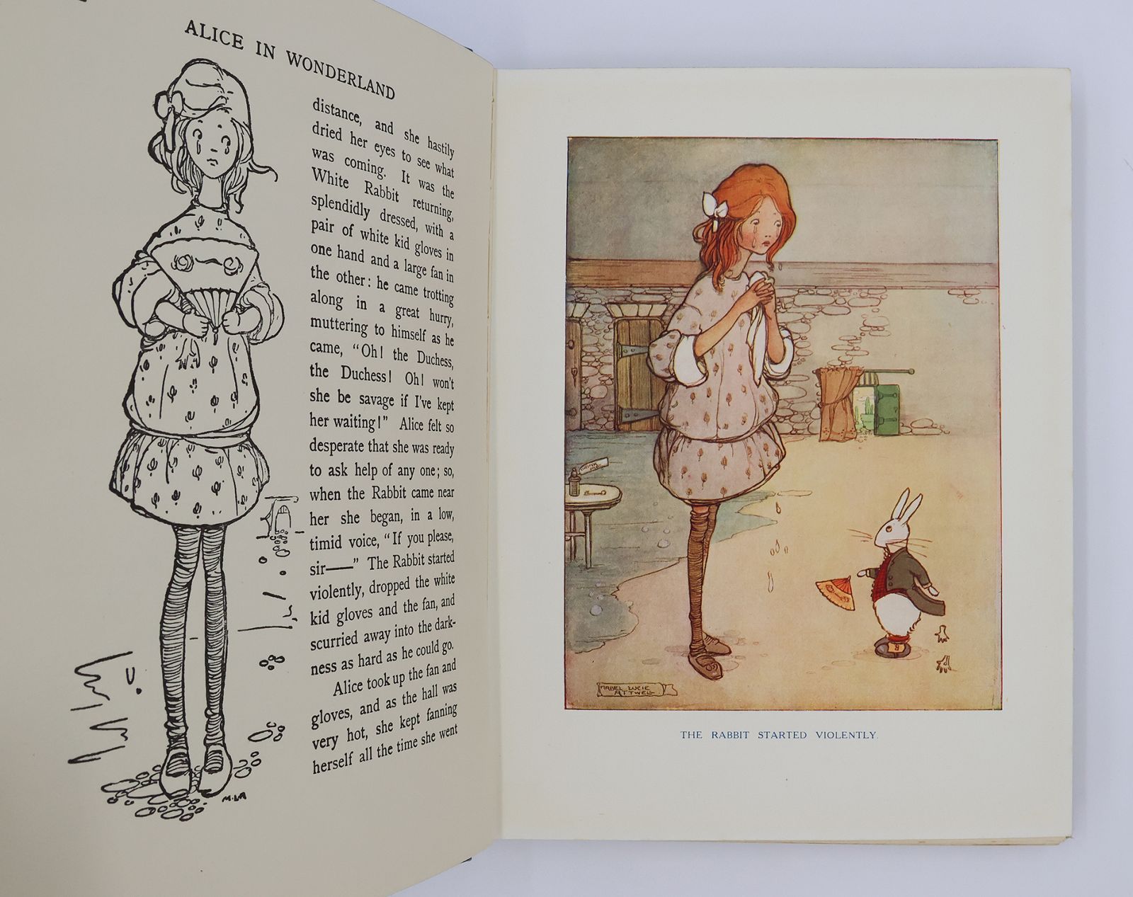 ALICE IN WONDERLAND -  image 6