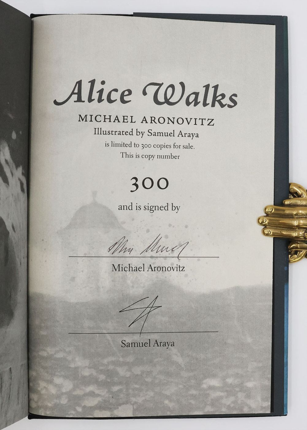 ALICE WALKS -  image 2