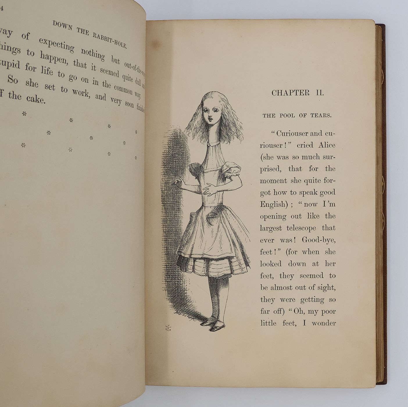 ALICE'S ADVENTURES IN WONDERLAND and THROUGH THE LOOKING GLASS AND WHAT ALICE FOUND THERE -  image 10