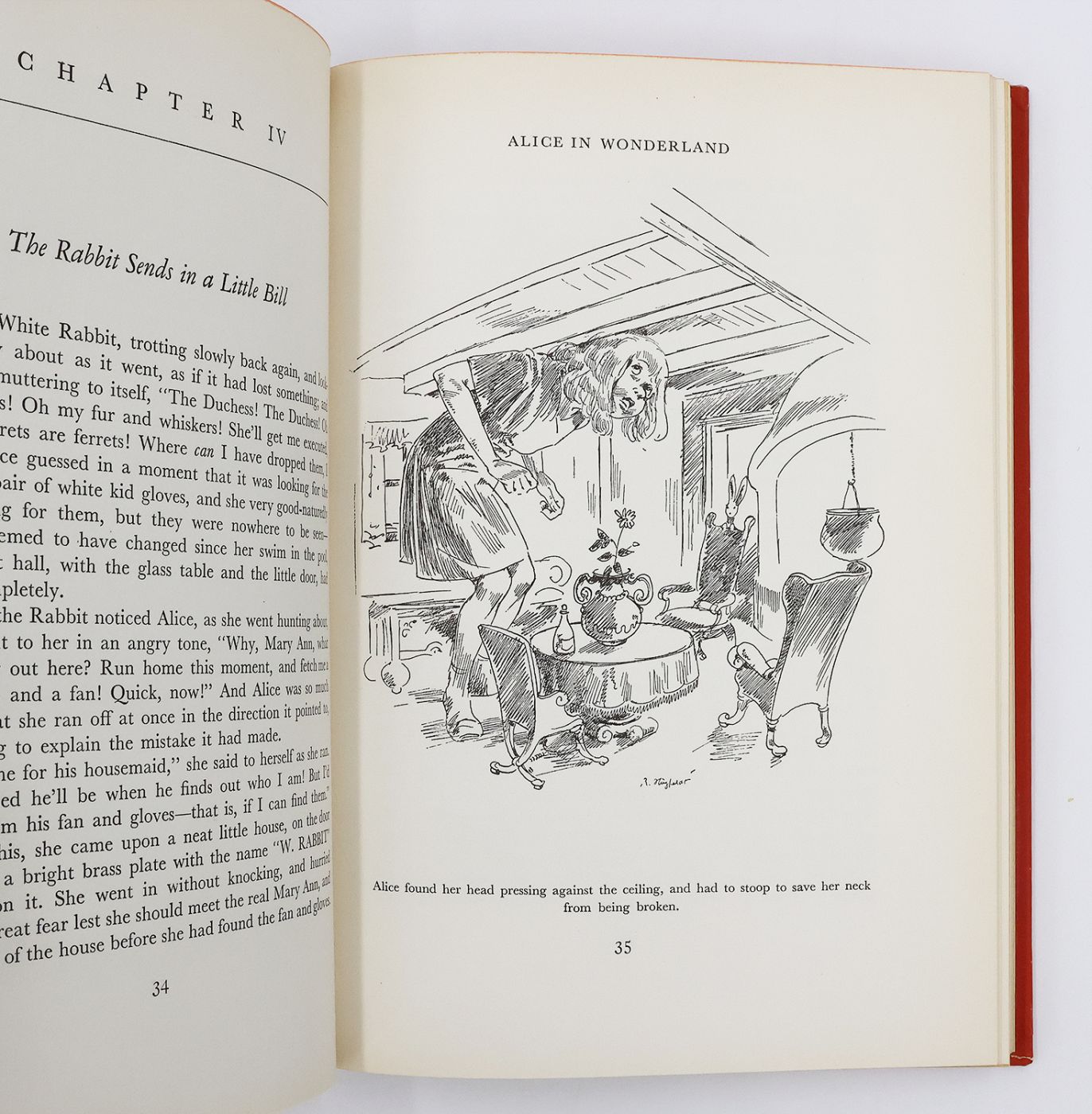 ALICE'S ADVENTURES IN WONDERLAND and THROUGH THE LOOKING GLASS -  image 5