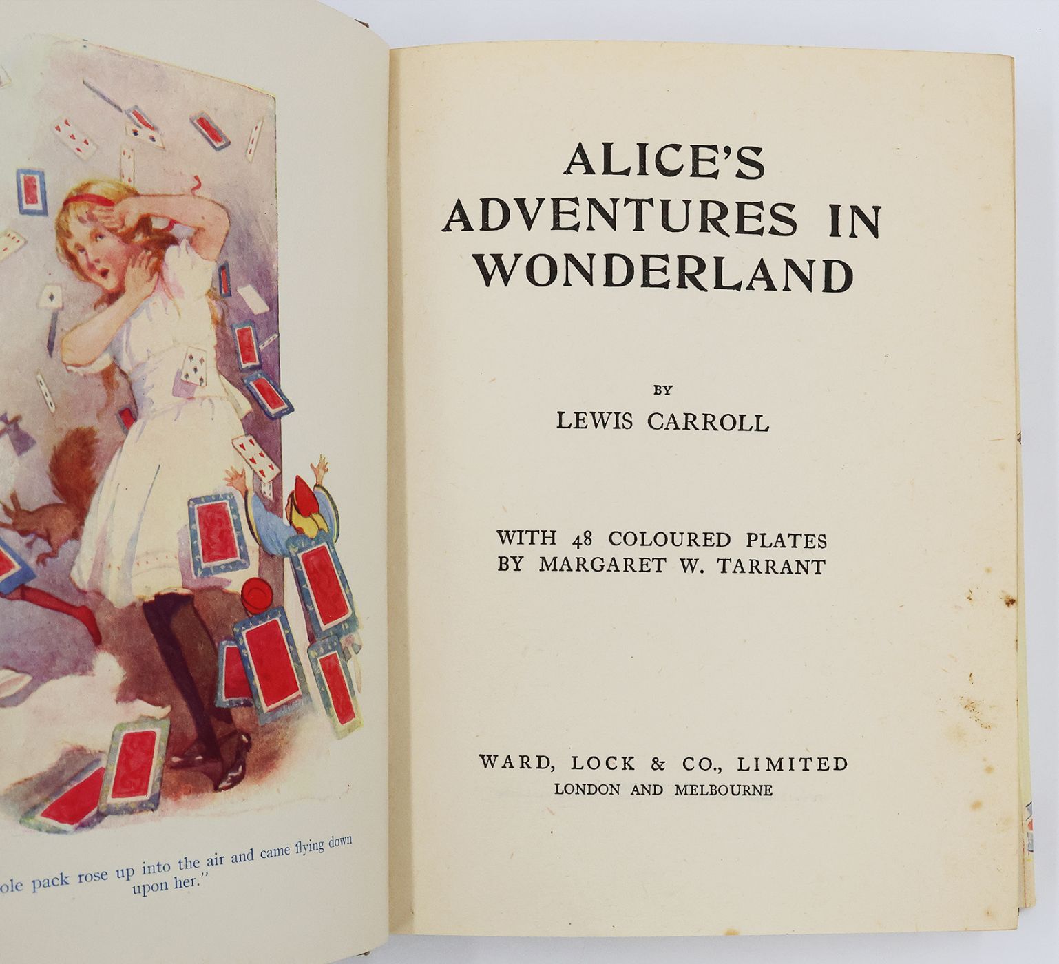ALICE'S ADVENTURES IN WONDERLAND -  image 2