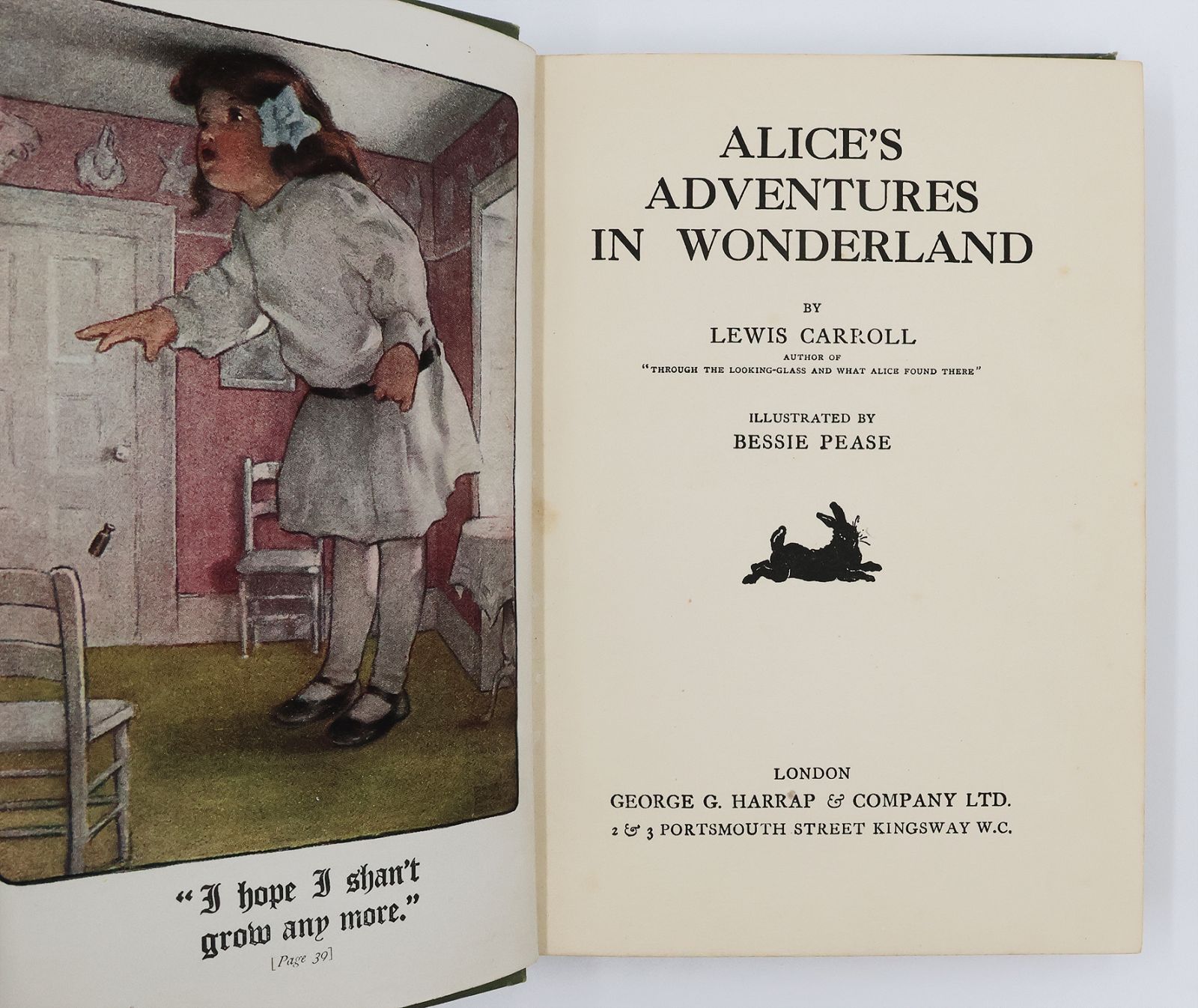 ALICE'S ADVENTURES IN WONDERLAND -  image 2