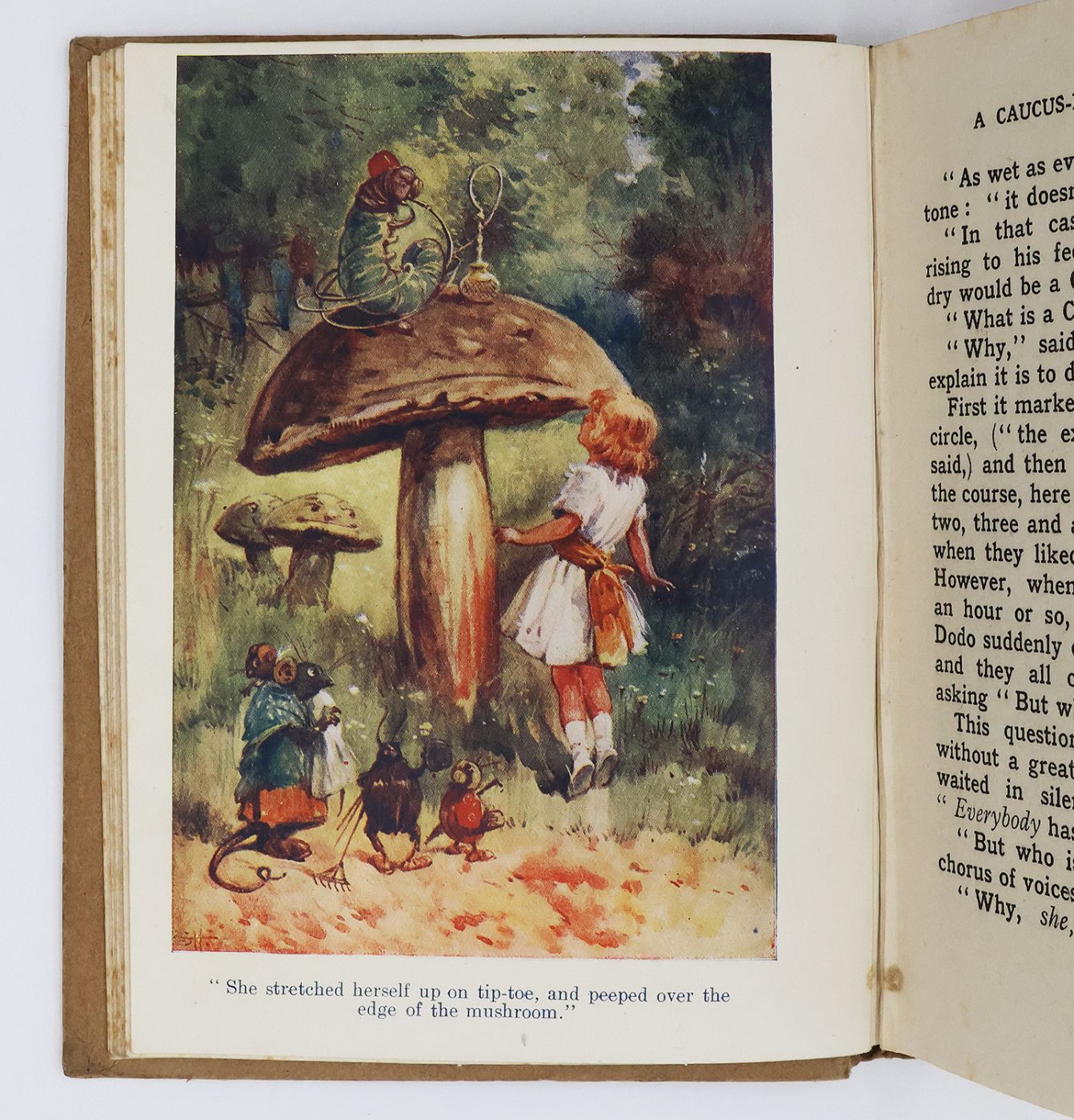 ALICE'S ADVENTURES IN WONDERLAND -  image 3