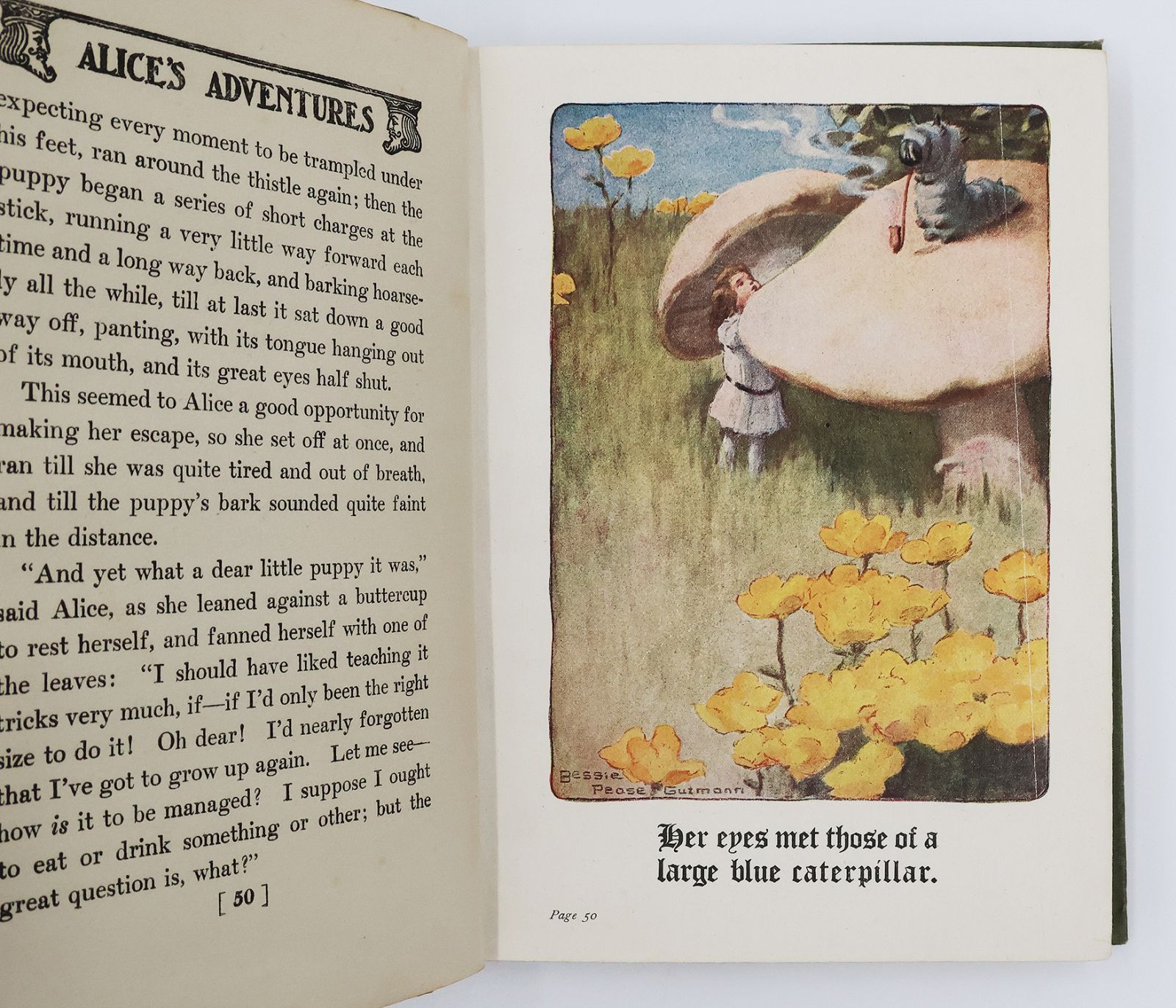 ALICE'S ADVENTURES IN WONDERLAND -  image 3