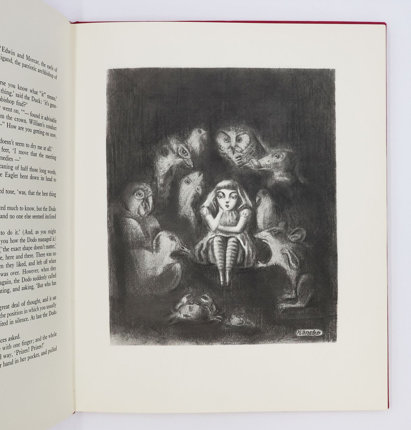 ALICE'S ADVENTURES IN WONDERLAND -  image 3