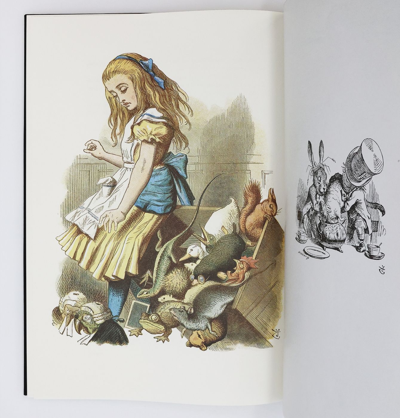 ALICE'S ADVENTURES IN WONDERLAND -  image 8