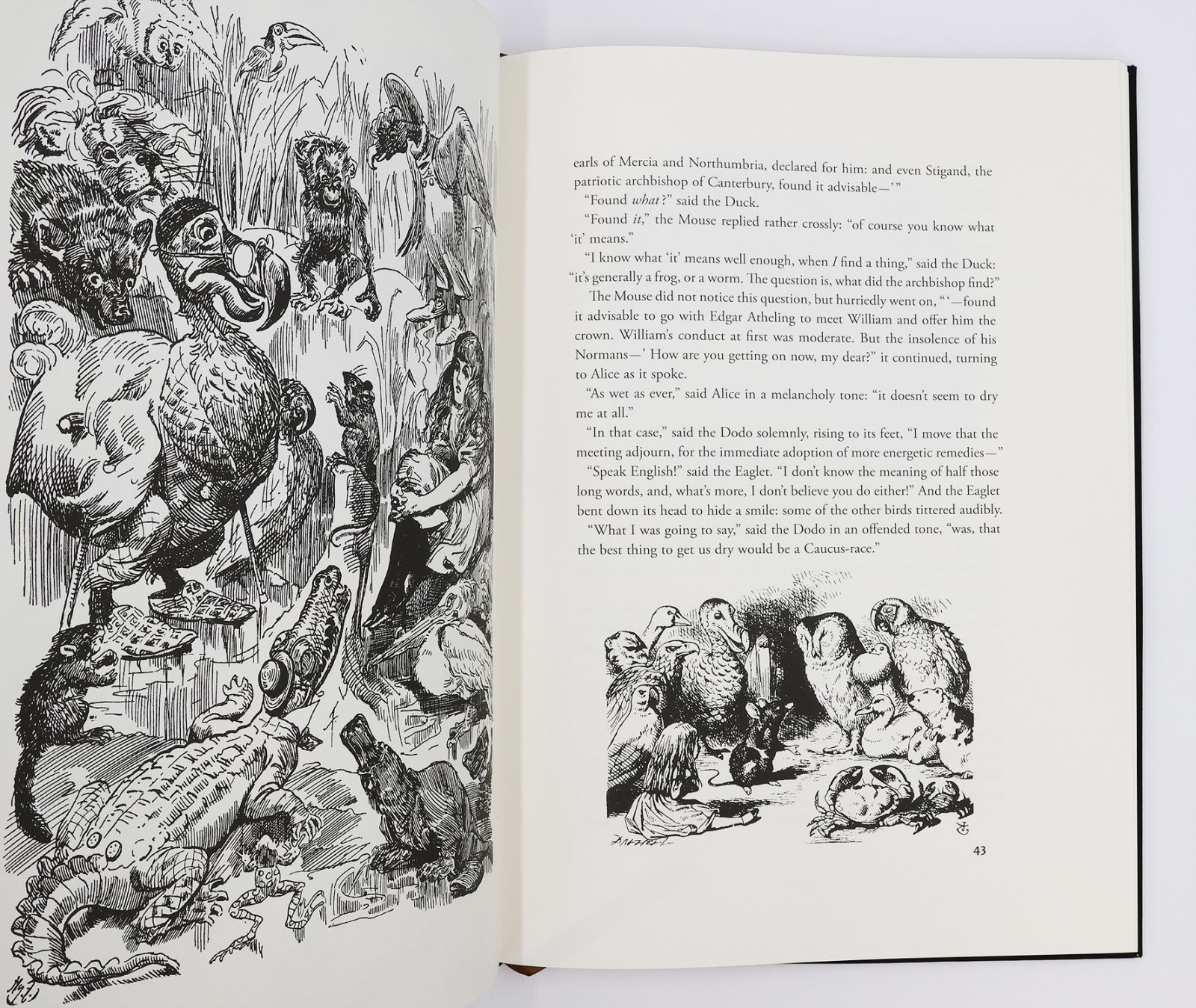 ALICE'S ADVENTURES IN WONDERLAND -  image 9